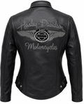 Biker Harley Davidson