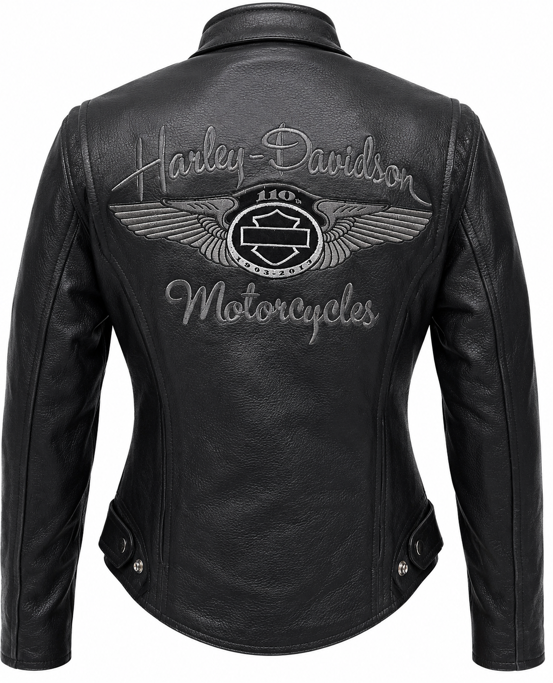 Biker Harley Davidson