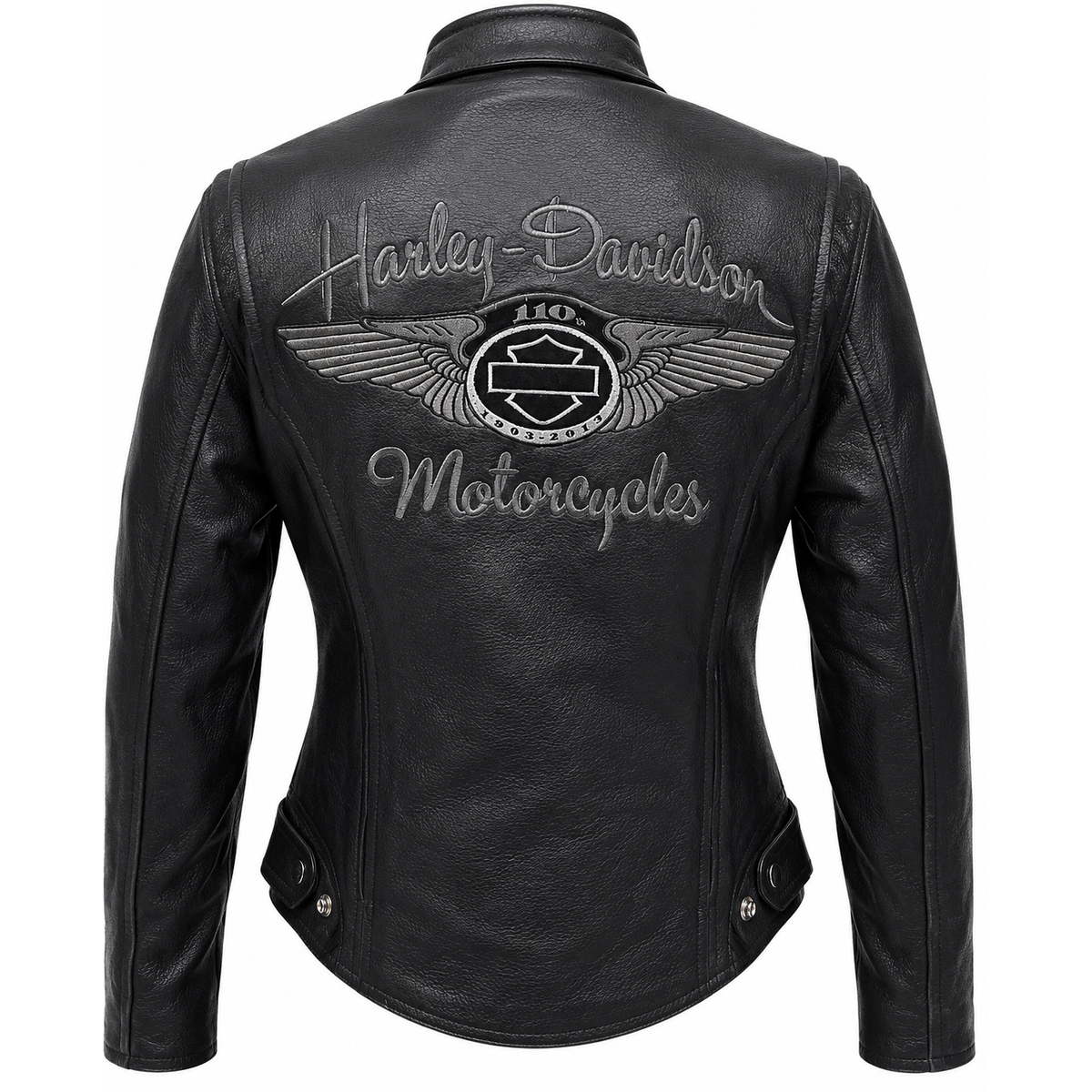 Biker Harley Davidson